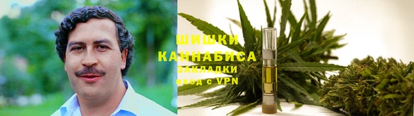 крисы Алзамай