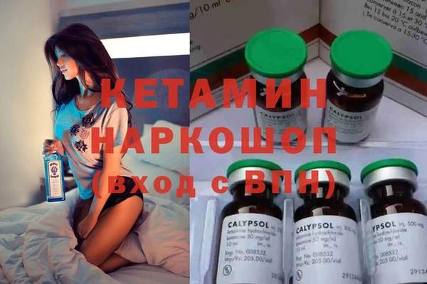 крисы Алзамай