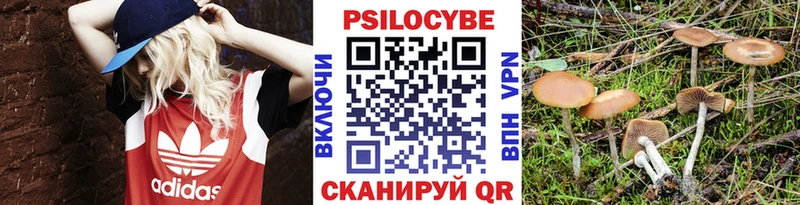 Галлюциногенные грибы мухоморы  купить наркотик  Олонец 